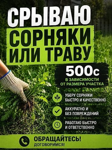 Уборка территории, Уборка двора и сада