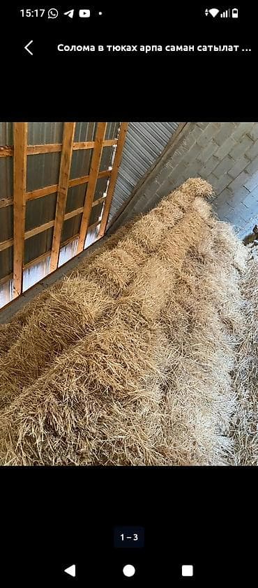 пчелы мед: Арпа саман сатылат таза кургак жерде тура доставка бар — 3