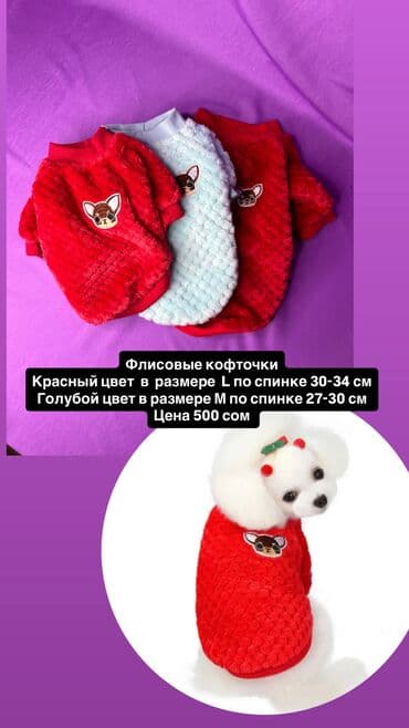различные породы собак: Одежда для кошек и собак. Все НОВОЕ РАЗМЕР И ЦЕНА УКАЗАНЫ НА ФОТО — 25