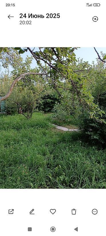 воронцова: Дача, 80 м², 4 комнаты, Агентство недвижимости, Косметический ремонт — 5