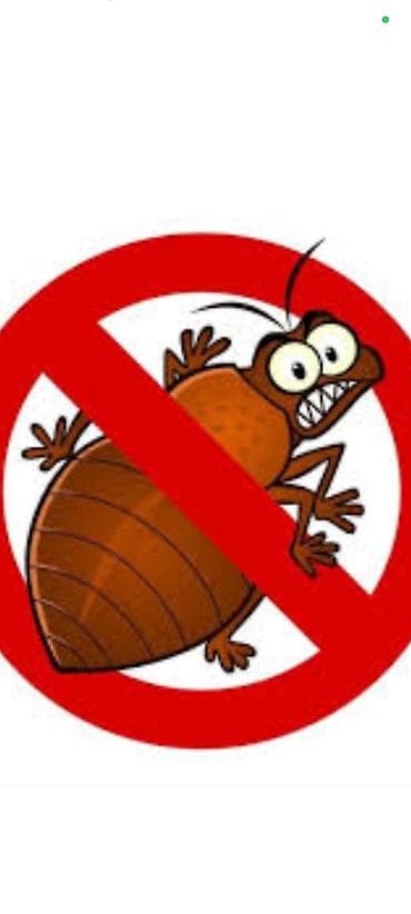 уничтожения тараканов: Дезинфекция, дезинсекция, | Тараканы, | Квартиры — 1