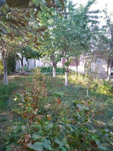 частный дом в оше: 35 м², 2 комнаты — 4