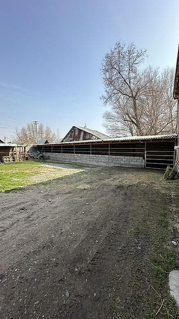 Продажа коммерческой недвижимости: Ферма КРС, 15 соток, Действующий — 7