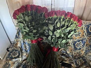 🌹 Срочно продам свежие красные розы премиум качества — Очень свежие