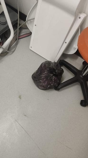 стом лампа: Стоматологическая установка с креслом и осветителем баасы 60000 сом — 5