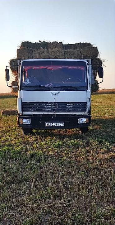 Жүк ташуучу унаа, Mercedes-Benz, Стандарт, 7 т, Колдонулган — 4