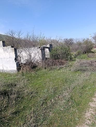 производственные участки: 5 соток, Для сельского хозяйства, Красная книга — 6