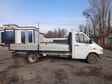 морда на спринтер рекс: Легкий грузовик, Mercedes-Benz, Стандарт — 3