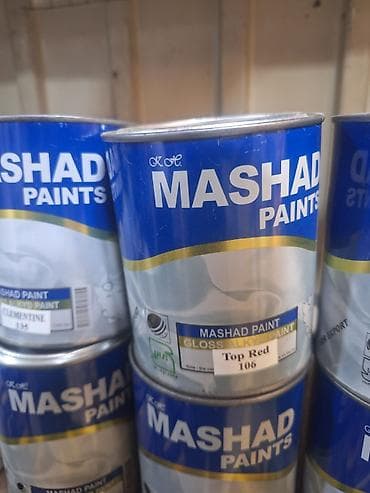 paint: Краска Mashad Paints предназначена для различных поверхностей — 1