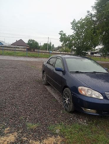 Продажа авто: Toyota Corolla: 2006 г., 1.8 л, Автомат, Бензин, Седан — 6