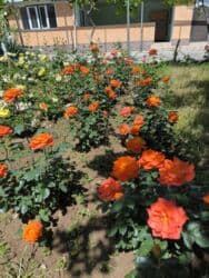 бишкек продаю дом село дордой 2: Дом, 1441 м², 12 комнат, Собственник — 22