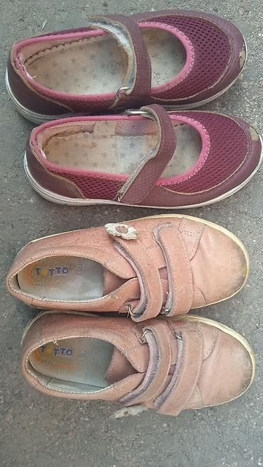 даром животные: Отдам даром — 2