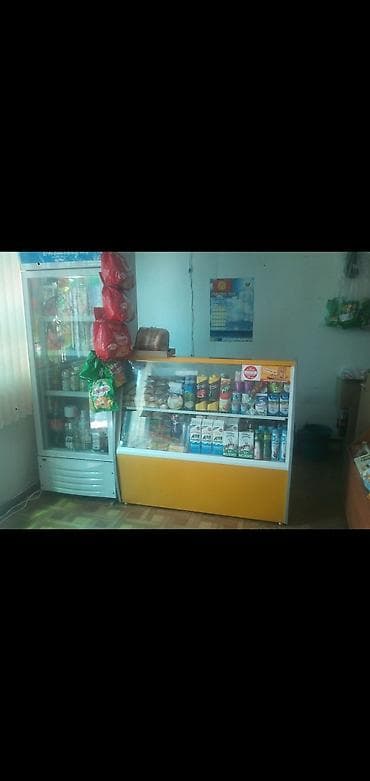 Коммерциялык кыймылсыз мүлктү сатуу: Павильондорду сатуу 24 м², Жабдуусу менен — 5