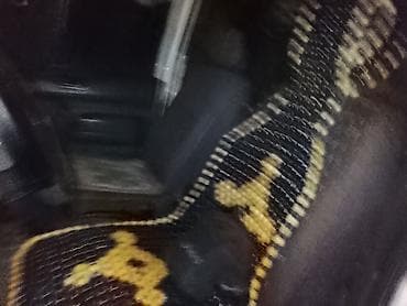 форд транзит редуктор: Ford Transit: 2005 г., 1.8 л, Механика, Дизель, Фургон — 6