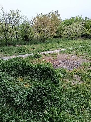 аккорд вагон: 4 соток — 1