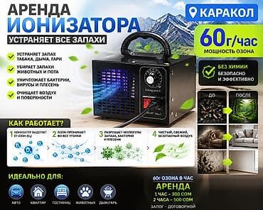 Удаление запаха в машине и квартире — Озонатор Каракол 🚗 Запах