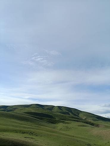 хранение: 7 соток, Для строительства, Красная книга — 4