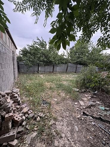 Кыймылсыз мүлк: 5 соток, Кызыл китеп — 2