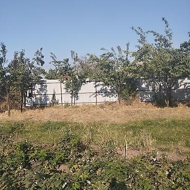 участок с восток: 8 соток, Для сельского хозяйства — 5