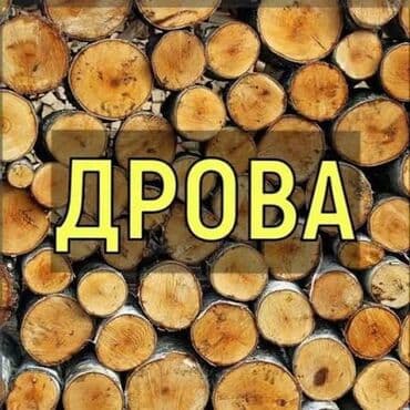 идиш жууйм: Отун — 1