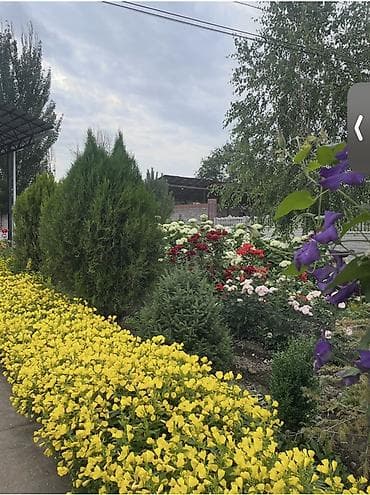 Дома: Продается дом в с. Беловодское, участок 17 соток, с большим — 2