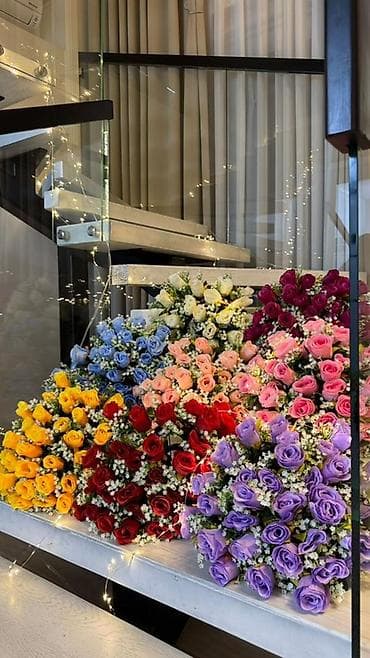 голанские розы: Букеты роз в ассортименте - Разнообразие цветов: красные, бордовые — 1