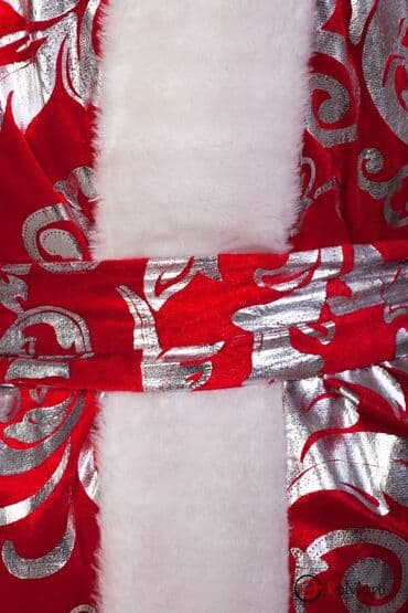 аренда новогодних костюмов для взрослых: Карнавальный костюм — 3