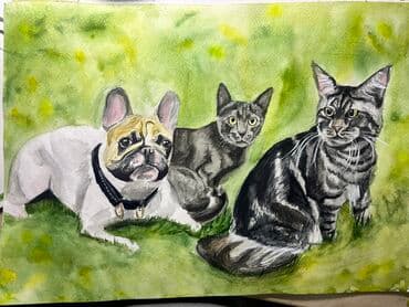 краски для художника: Картина вашего питомца на заказ 🐶❤️ Выполняется по фото. В работе — 1