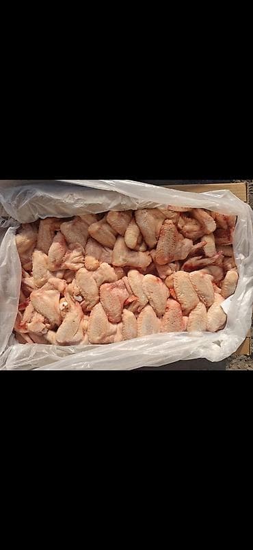 грудка: Утиные грудки замороженые. (только оптом) — 5