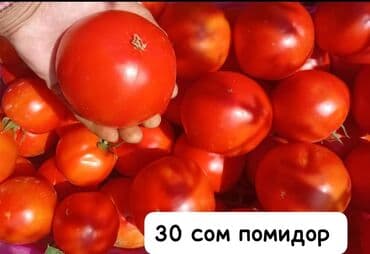 ящик для овощи: Семена овощей: Самовывоз — 1