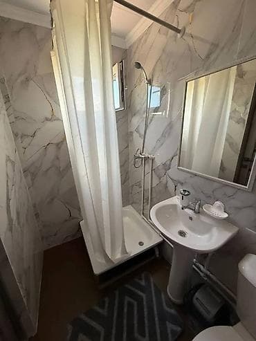 Животные: Бостери койка места полное аренда рядом с берегом . до береге 5-6 — 5