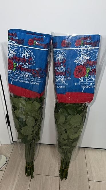 куплю розы: Белые розы 24 шт — выгодная цена 🌹 Свежие цветы, готовый букет. Пишите — 3