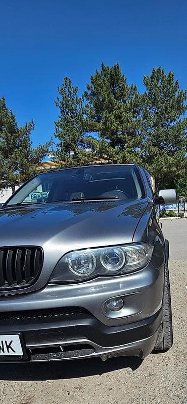 BMW: BMW X5: 2004 г., 4.4 л, Автомат, Бензин, Внедорожник — 9