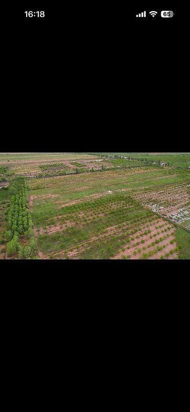 куплю поля: 400 соток, Для сельского хозяйства, Красная книга — 5