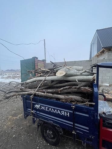 Үй жана бакча: Отун Өзү алып кетүү — 2