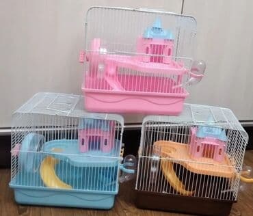 Ламинат: Продаю джунгарских и сирийских хомячков,а так же — 2