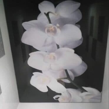 потолок гипсокартон: Натяжной потолок Глянцевое, Матовое, 3D потолки — 25