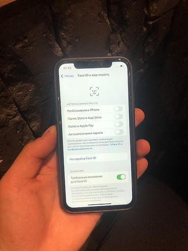 хр корпус: IPhone X, 64 ГБ, Черный, Чехол — 7