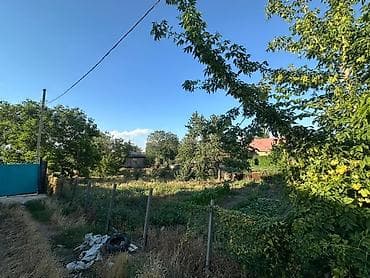 Недвижимость: Продаю дом с участком 14,3 соток Новопавловка ул Ала-арчинская — 5