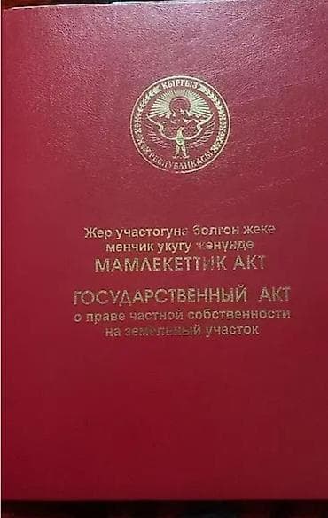 красный книга: 5 соток, Красная книга — 1