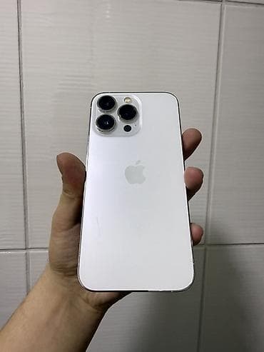 фото на памятник: IPhone 13 Pro, Серебристый — 4