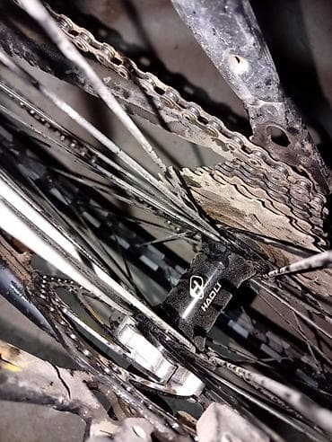 Велосипеддер: Тоо велосипеди, Велосипед алкагы M (156 - 178 см), Болот — 4