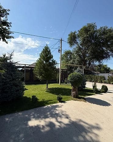 5000 сом кино: 🐏 В продаже готовая ферма по разведению арашанов. 📍с. Новопокровка — 3