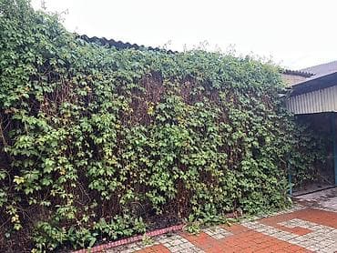 🏡 Продаётся частный дом в ж/м Ак-Орго, Бишкек ✨ 🛏️ 5 комнат 🌿 — 3