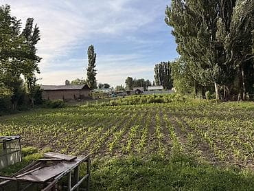 продаю дом ак ордо 1: Дом с участком и садом - Жилой дом с высоким забором и распашными — 3