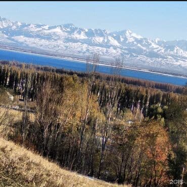 ипотечный дом: 37 соток, Для бизнеса, Договор купли-продажи — 6