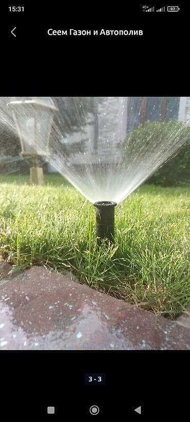 косим траву: Покос газона, уход за Розами — 2