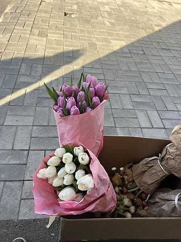 для праздника: Тюльпаны срезанные — яркие весенние букеты. - Ассортимент — 3