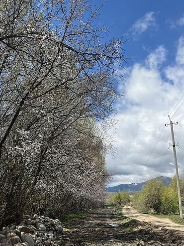 кемин куплю дом: Продаётся дом 4х комн с большим яблоневым садом 1гектар. Сад окружён — 6