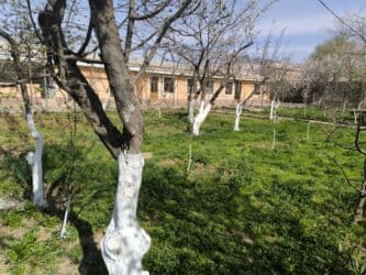 бишкек продаю дом село дордой 2: Дом, 1441 м², 12 комнат, Собственник — 43